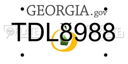 TDL8988 Georgia License Plate