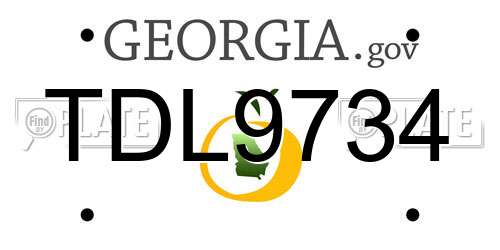 TDL9734 Georgia License Plate