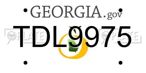 TDL9975 Georgia License Plate