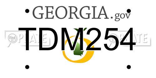 TDM254 Georgia License Plate