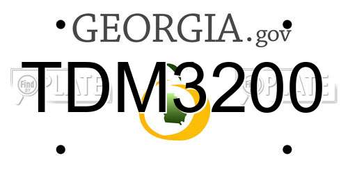 TDM3200 Georgia License Plate