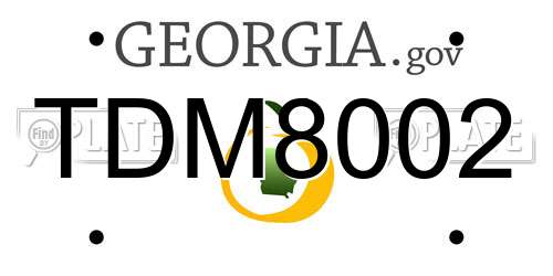 TDM8002 Georgia License Plate