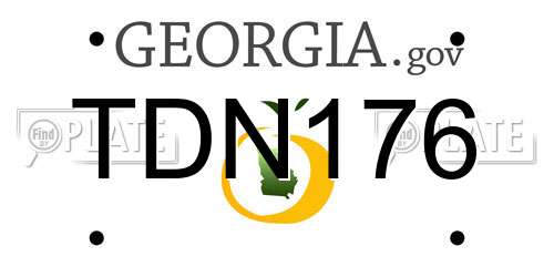 TDN176 Georgia License Plate