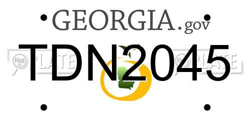 TDN2045 Georgia License Plate