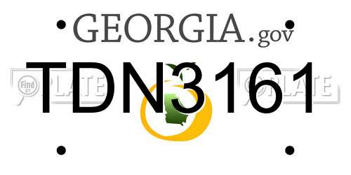 TDN3161 Georgia License Plate