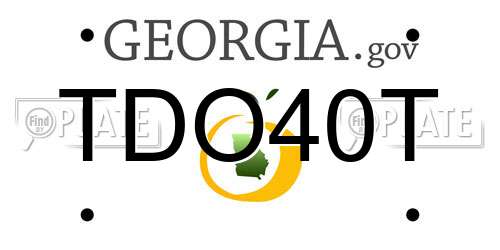 TDO40T Georgia License Plate