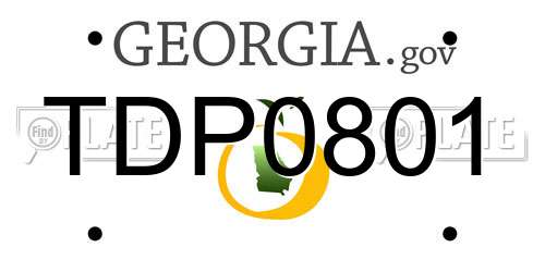 TDP0801 Georgia License Plate