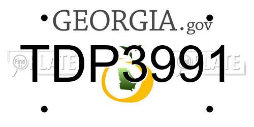 TDP3991 Georgia License Plate