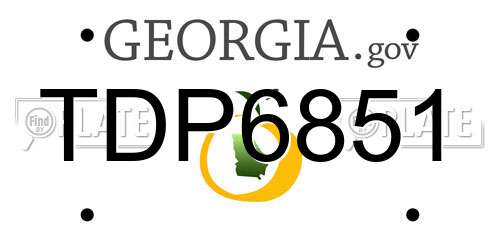 TDP6851 Georgia License Plate