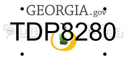 TDP8280 Georgia License Plate