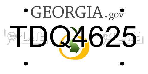 TDQ4625 Georgia License Plate
