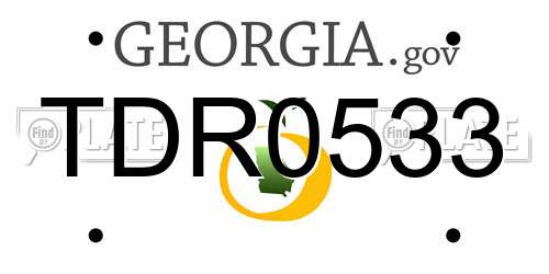 TDR0533 Georgia License Plate