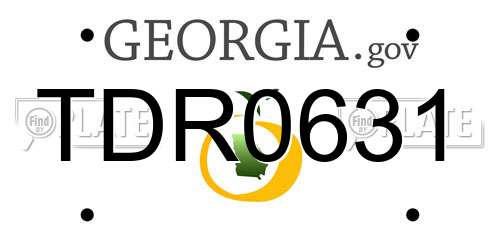 TDR0631 Georgia License Plate
