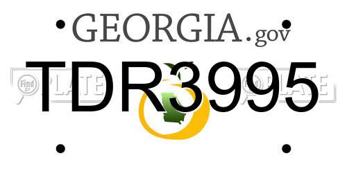 TDR3995 Georgia License Plate