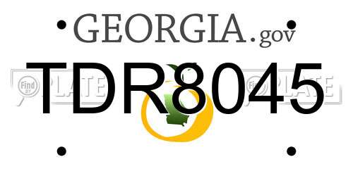 TDR8045 Georgia License Plate