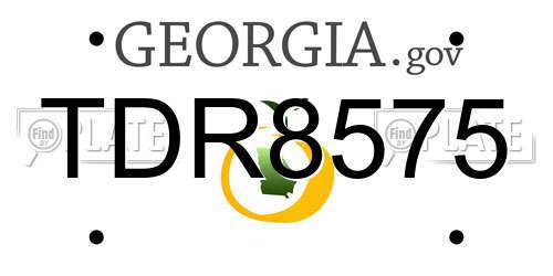 TDR8575 Georgia License Plate