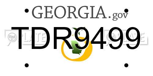 TDR9499 Georgia License Plate