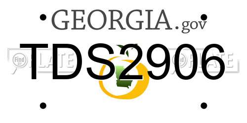 TDS2906 Georgia License Plate