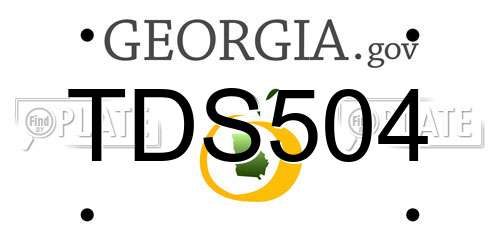 TDS504 Georgia License Plate
