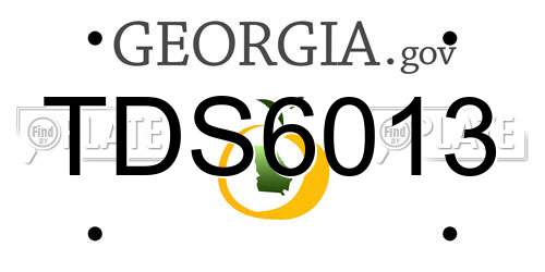 TDS6013 Georgia License Plate