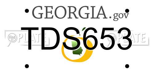 TDS653 Georgia License Plate