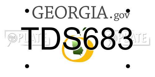 TDS683 Georgia License Plate