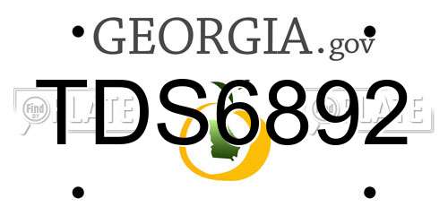 TDS6892 Georgia License Plate