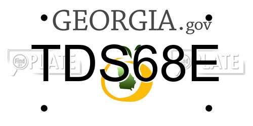 TDS68E Georgia License Plate