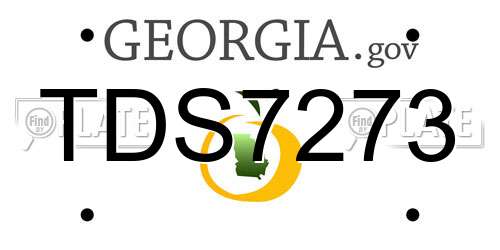 TDS7273 Georgia License Plate