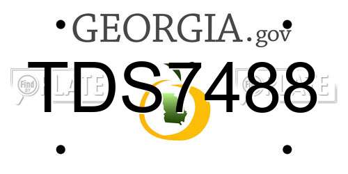 TDS7488 Georgia License Plate
