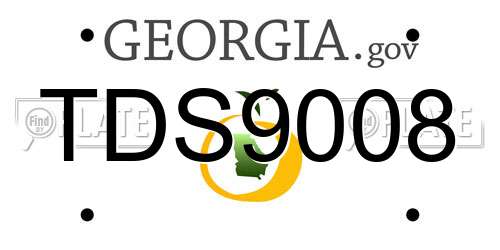 TDS9008 Georgia License Plate