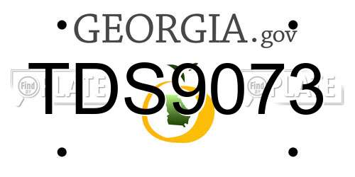 TDS9073 Georgia License Plate