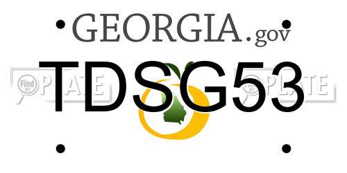 TDSG53 Georgia License Plate