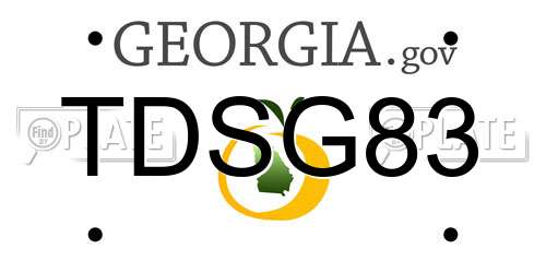 TDSG83 Georgia License Plate