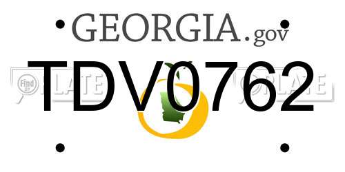 TDV0762 Georgia License Plate