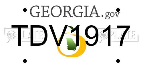 TDV1917 Georgia License Plate