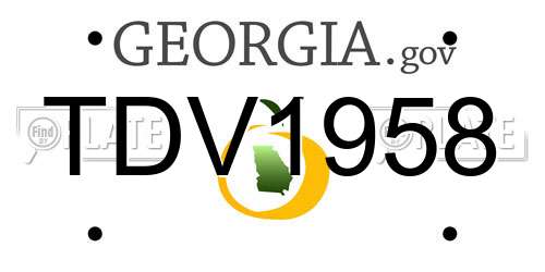 TDV1958 Georgia License Plate