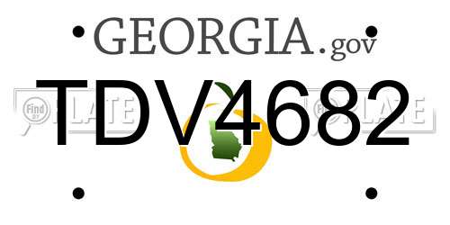 TDV4682 Georgia License Plate