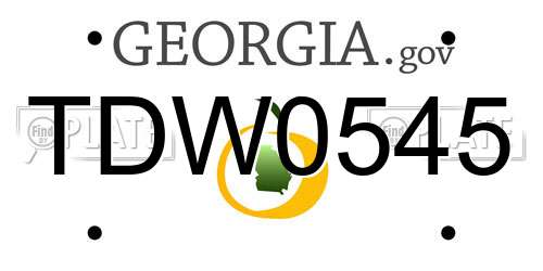 TDW0545 Georgia License Plate