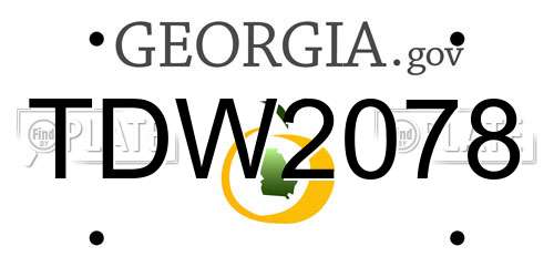 TDW2078 Georgia License Plate