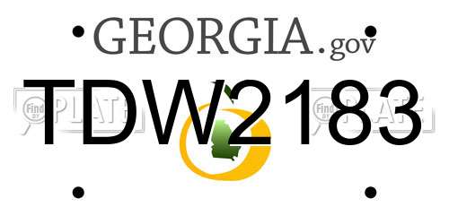 TDW2183 Georgia License Plate
