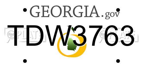 TDW3763 Georgia License Plate