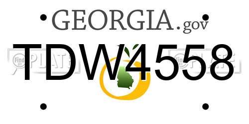 TDW4558 Georgia License Plate