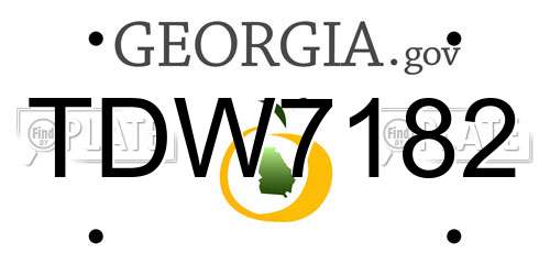 TDW7182 Georgia License Plate