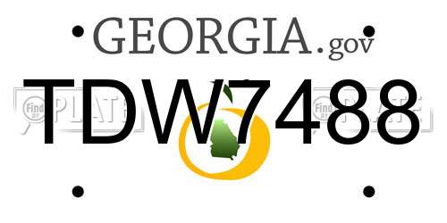 TDW7488 Georgia License Plate