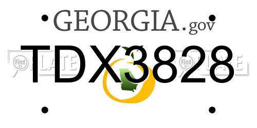 TDX3828 Georgia License Plate