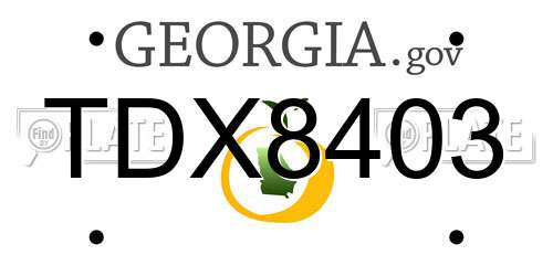 TDX8403 Georgia License Plate
