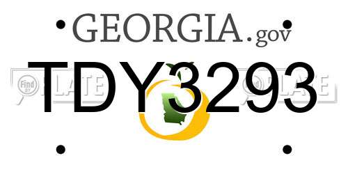 TDY3293 Georgia License Plate