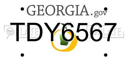 TDY6567 Georgia License Plate