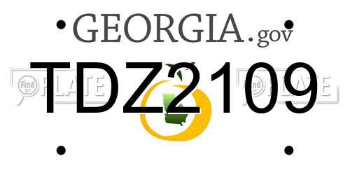 TDZ2109 Georgia License Plate